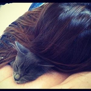 Meet your Posher, Lacey